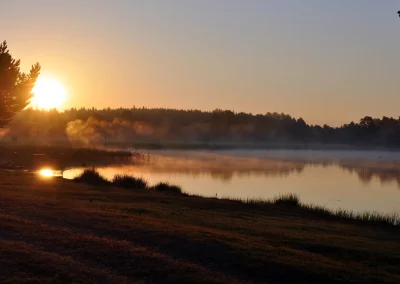 Schwedenpause Natur am Morgen